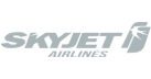 Skyjet logo